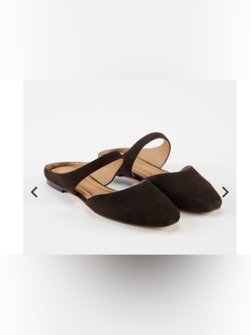 🦶🏼J.Jill Sloane Mules ✔️